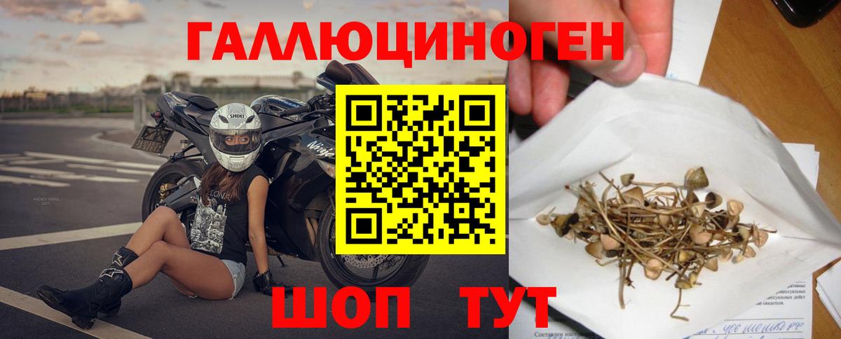 Таганрог  Галлюциногенные грибы мицелий  Вход с VPN 